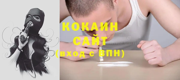 сатива Арсеньев