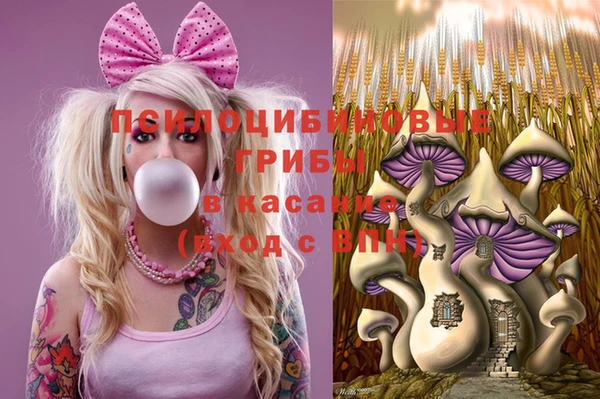 мет Армянск